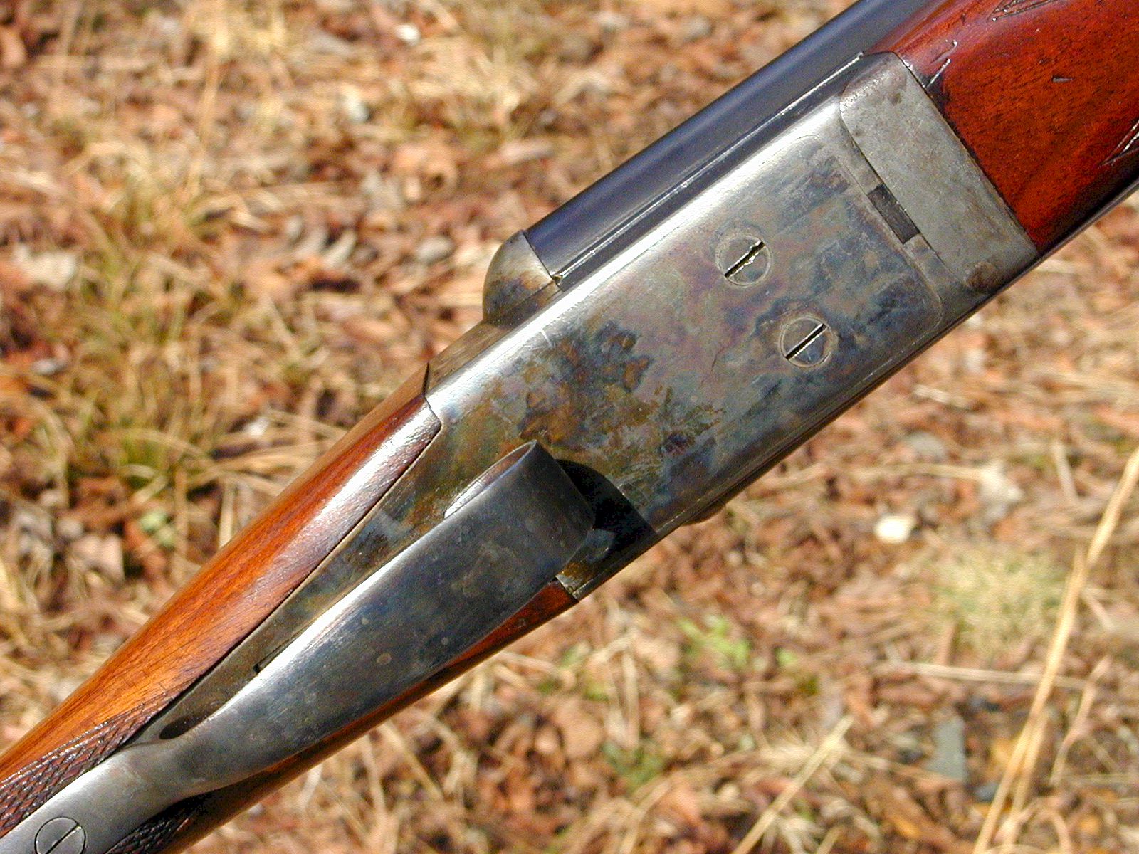 Remington model 1900 обрез. Remington model 1900. Remington model 1889 12 ga. Винчестер модель 1900. 1889 12