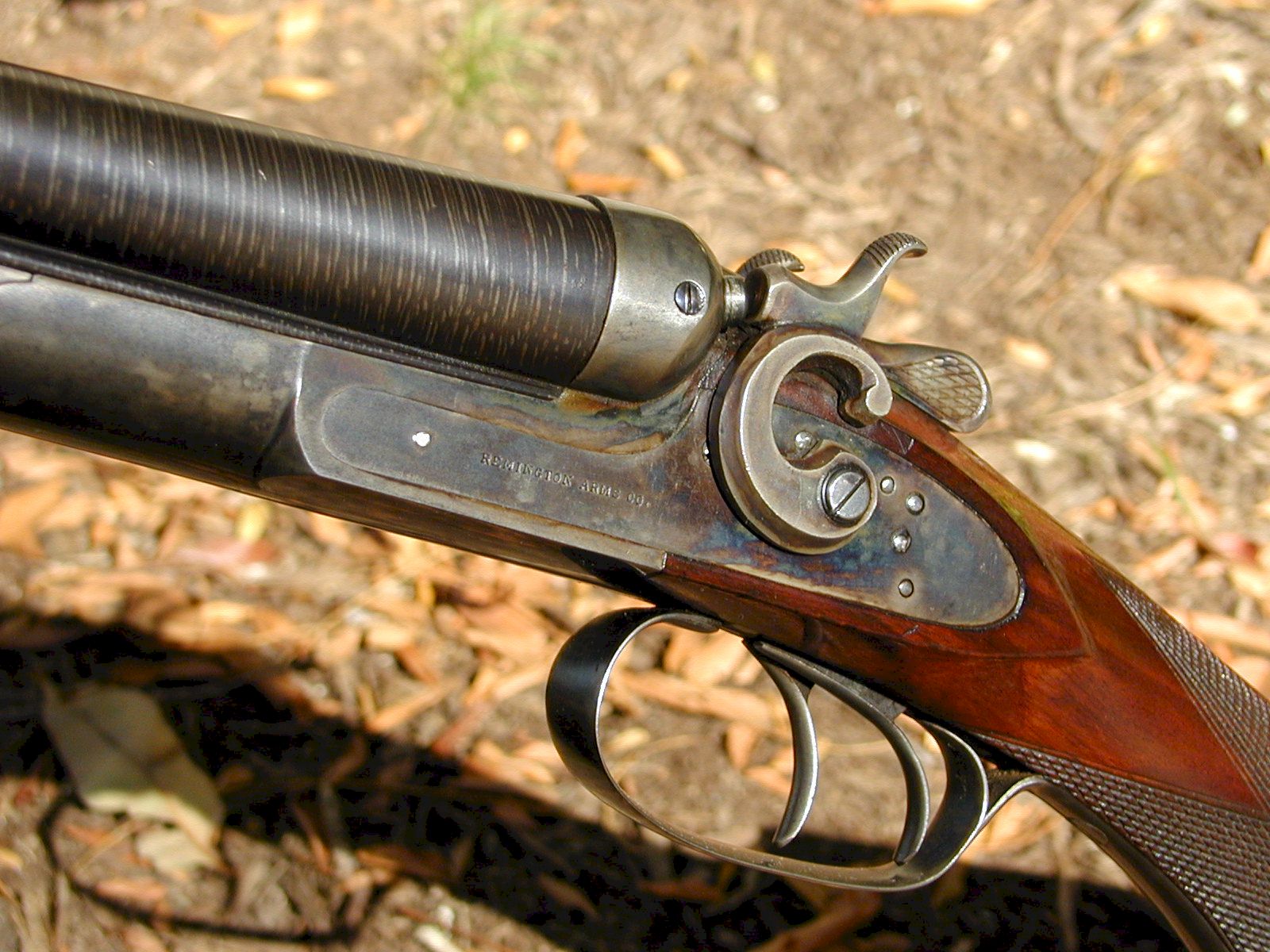 Гладкоствольное оружие это. Remington Shotgun 1889. Ружье 2 калибра. Remington model 1889 обрез. Ремингтон ружье даух ствольное.